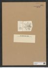 Asterolampra weissflogii Grun. (de-Toni-Nr.: Genus 235, Species 5680) Zeichnungen Sammlung Grunow Nr. 9668 (NHMW-BOT-W0379604)